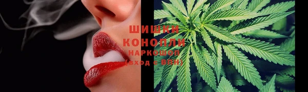 прущие грибы Горнозаводск