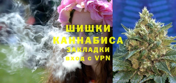 spice Вяземский