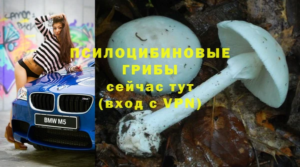 каннабис Гусь-Хрустальный