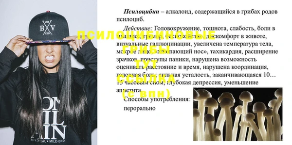 spice Вяземский