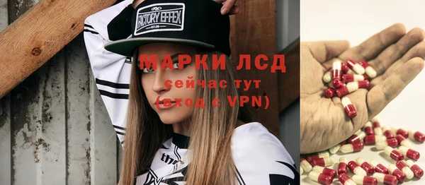 прущие грибы Горнозаводск