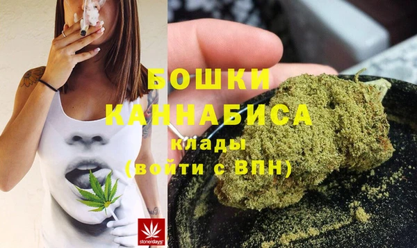 хмурый Горняк