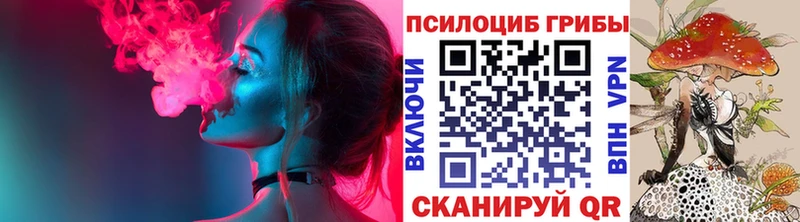 Псилоцибиновые грибы Psilocybe  площадка телеграм  Далматово  цена наркотик 